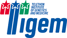 Logo_Tigem_RGB.png